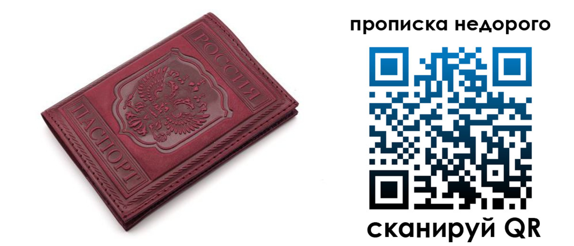 прописка гарантия в Жукове